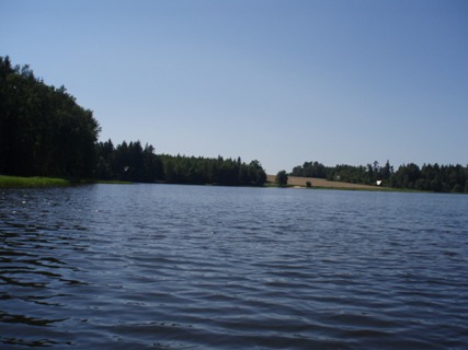 swimming in camp